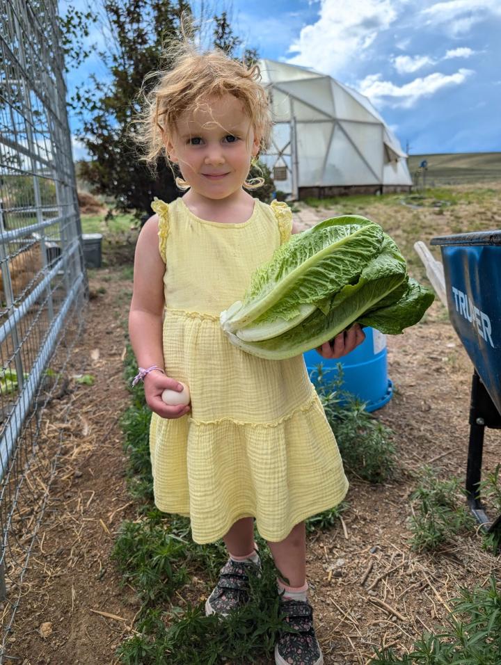 Young girl in a yellow dress holds an egg in one hand and a head of lettuce in the other. In the background is a padock, wheelbarrow, and a Growing Dome