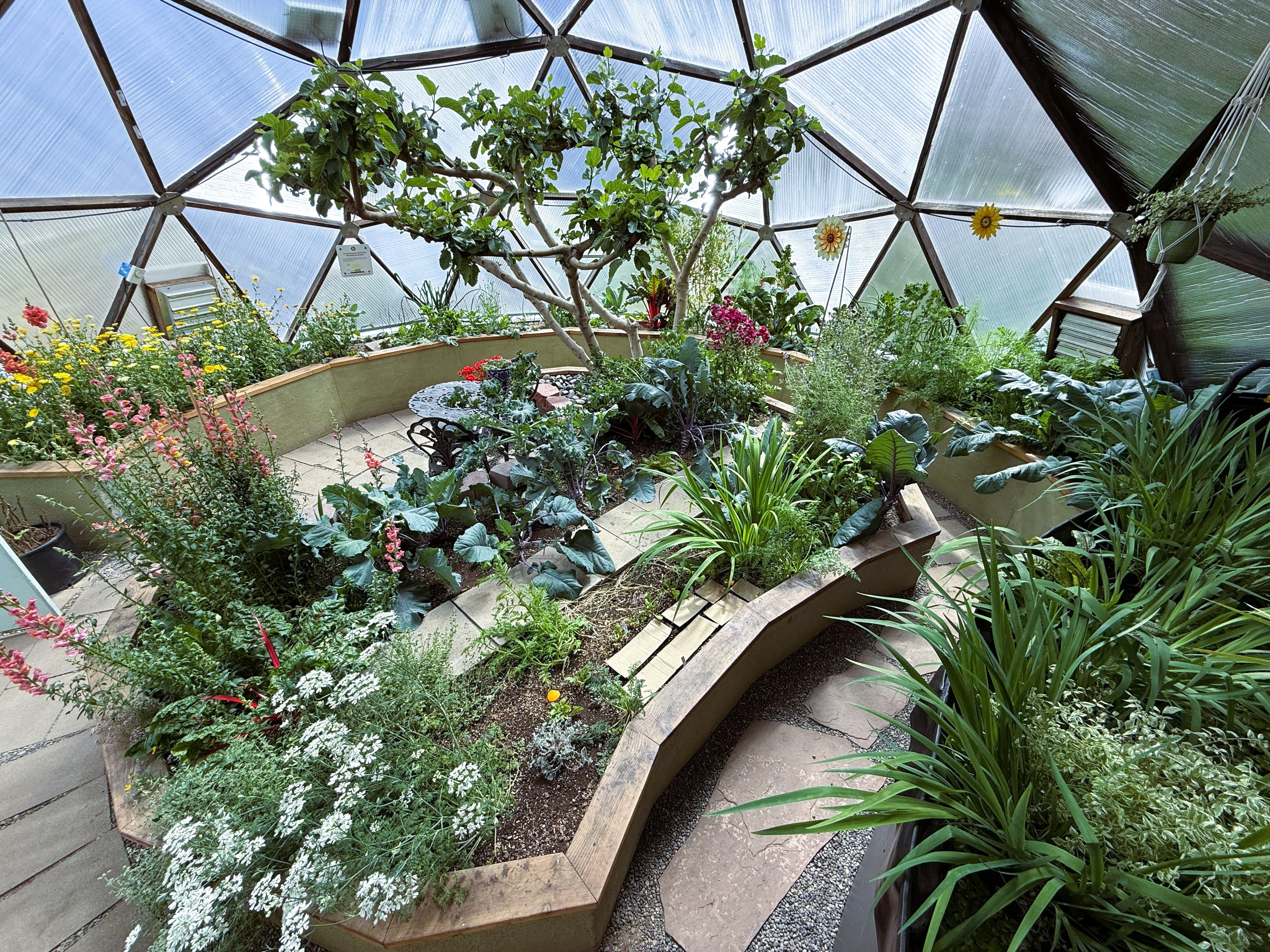 interior canopy view diffused light in growing dome