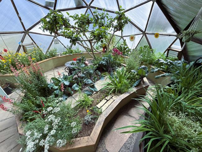 interior canopy view diffused light in growing dome
