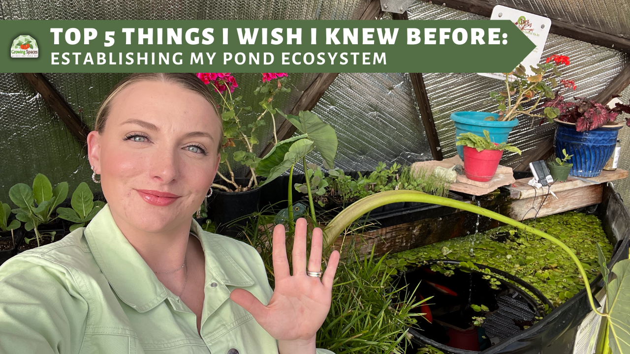 woman standing in front of an above-ground pond in the geodesic greenhouse she's holding up her hand to show the number 5 and the banner reads Top 5 Things I Wish I Knew Before Establishing My Pond Ecosystem
