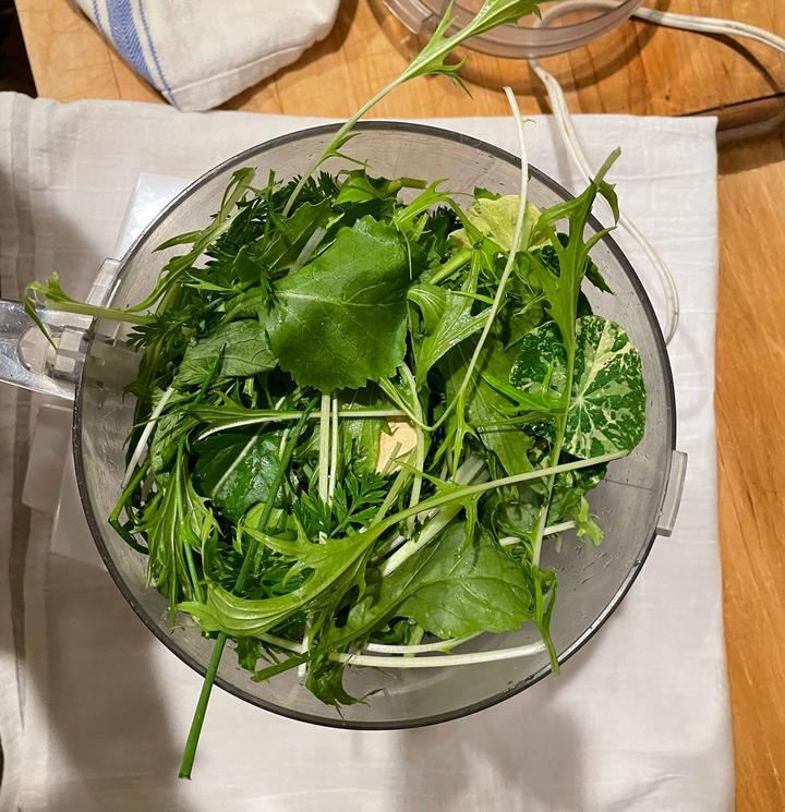 cleaned winter greens placed in a food processor