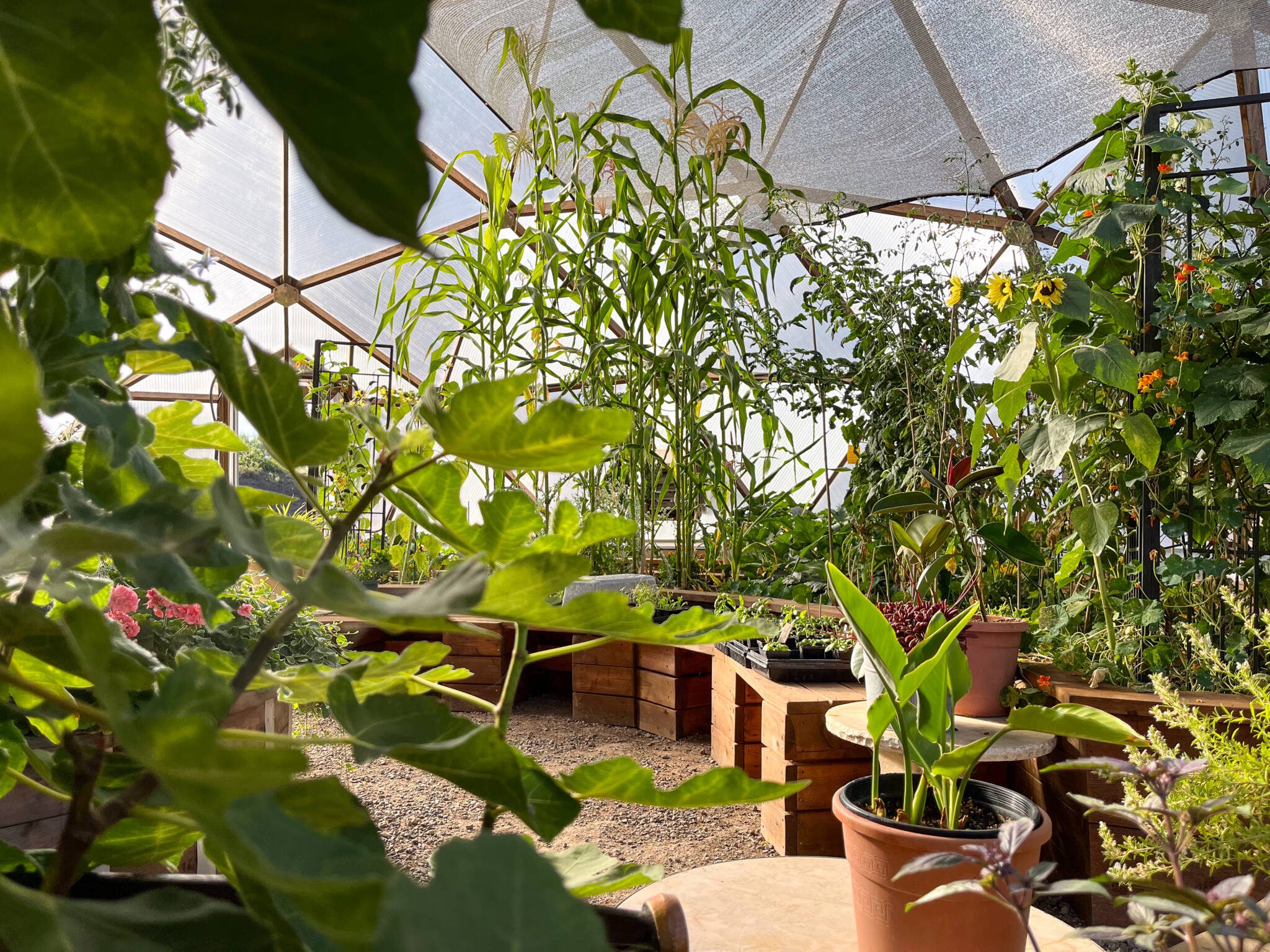 Agriculture Education Sees Growth image