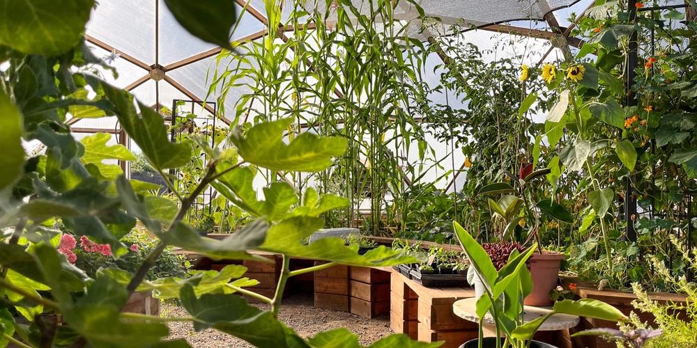 Agriculture Education Sees Growth image