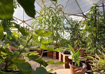 Agriculture Education Sees Growth image
