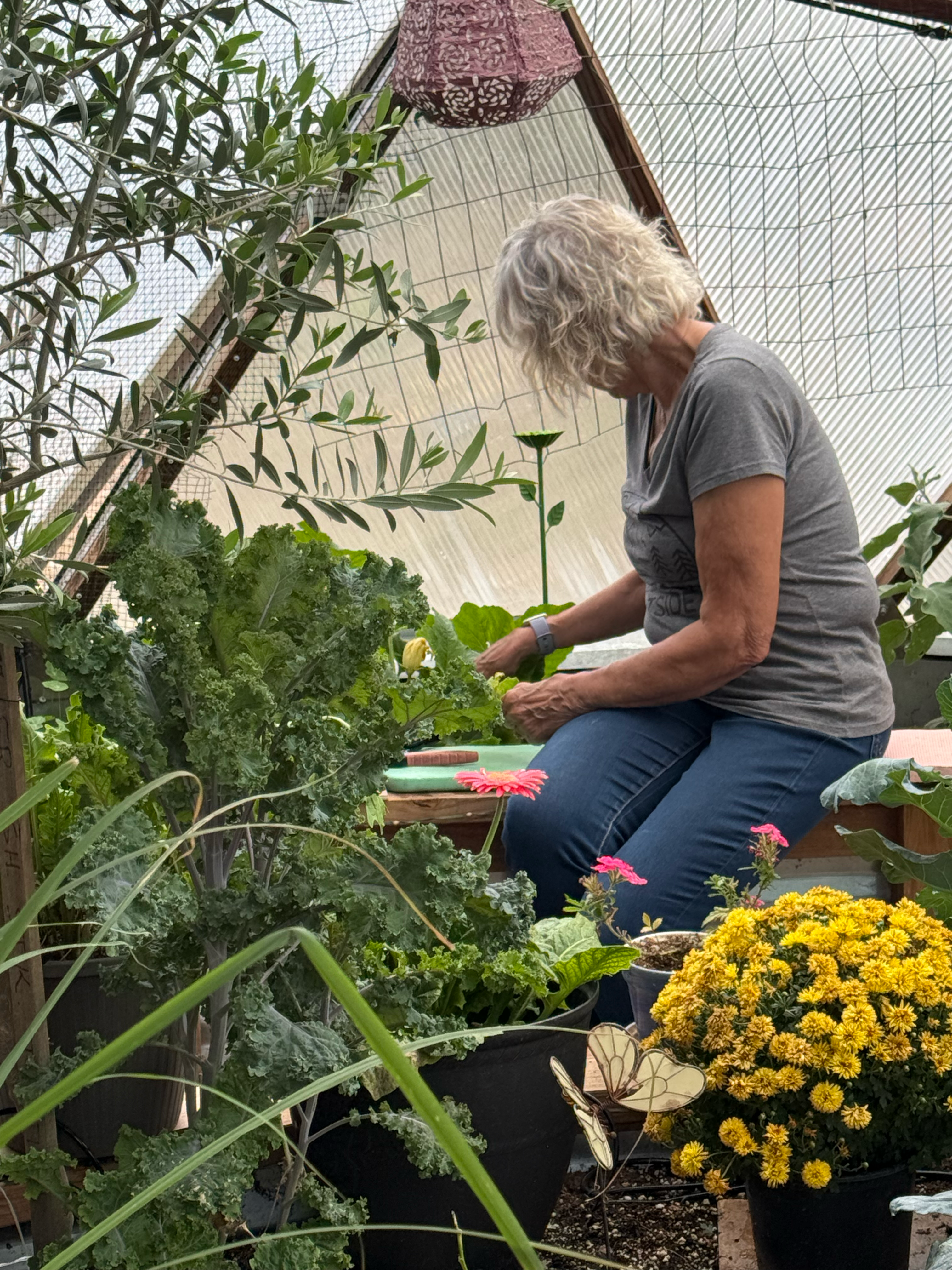 Woman sitting on the edge of a raised garden bed observing her plants