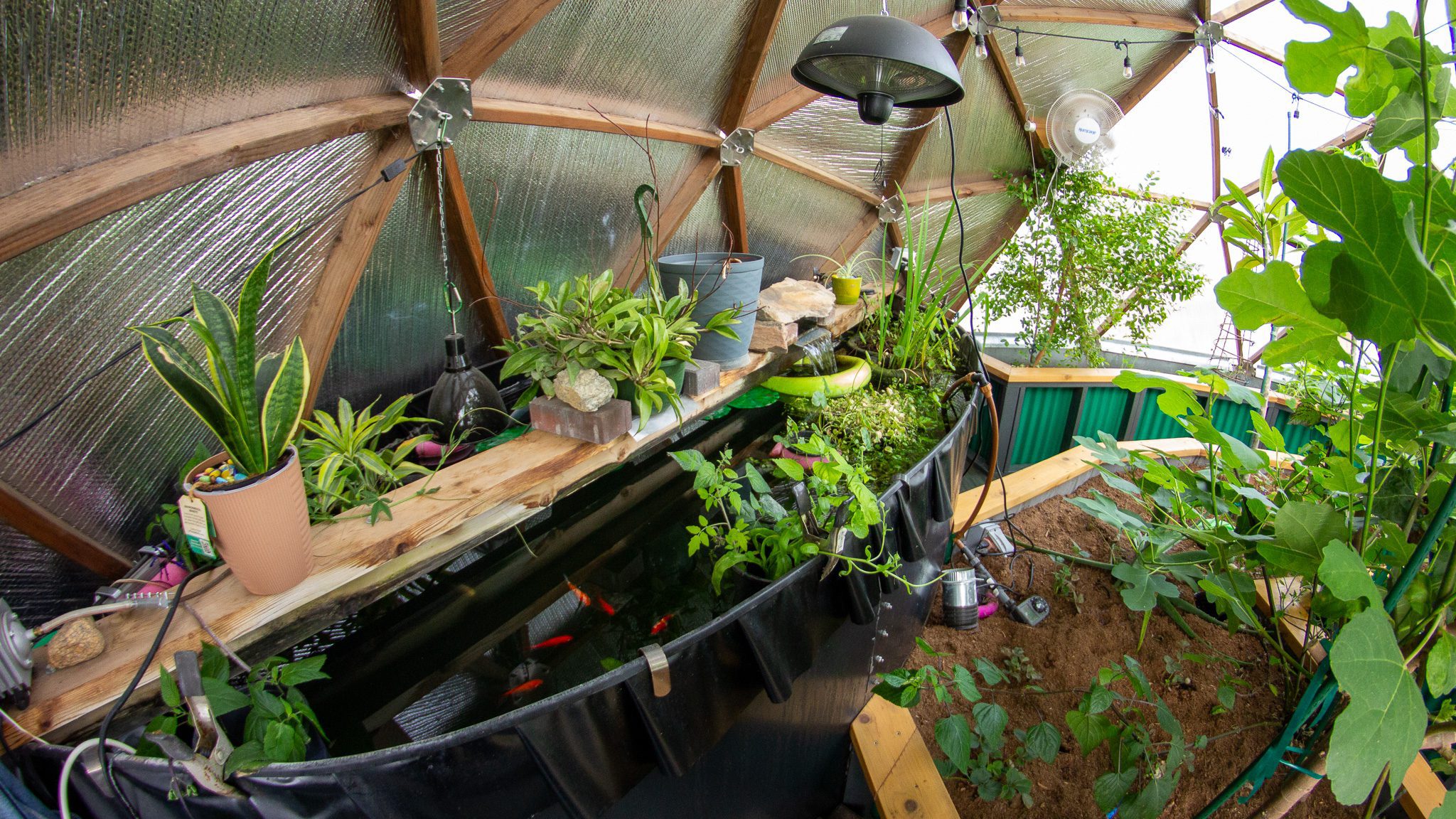 Above ground pond in a growing dome greenhouse in Washington with tropical plants