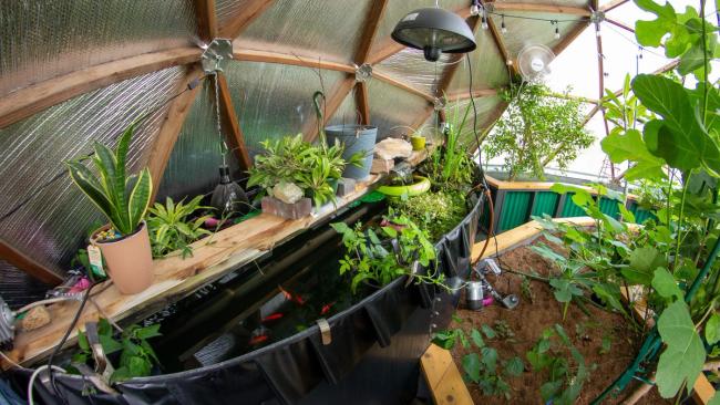 Above ground pond in a growing dome greenhouse in Washington with tropical plants