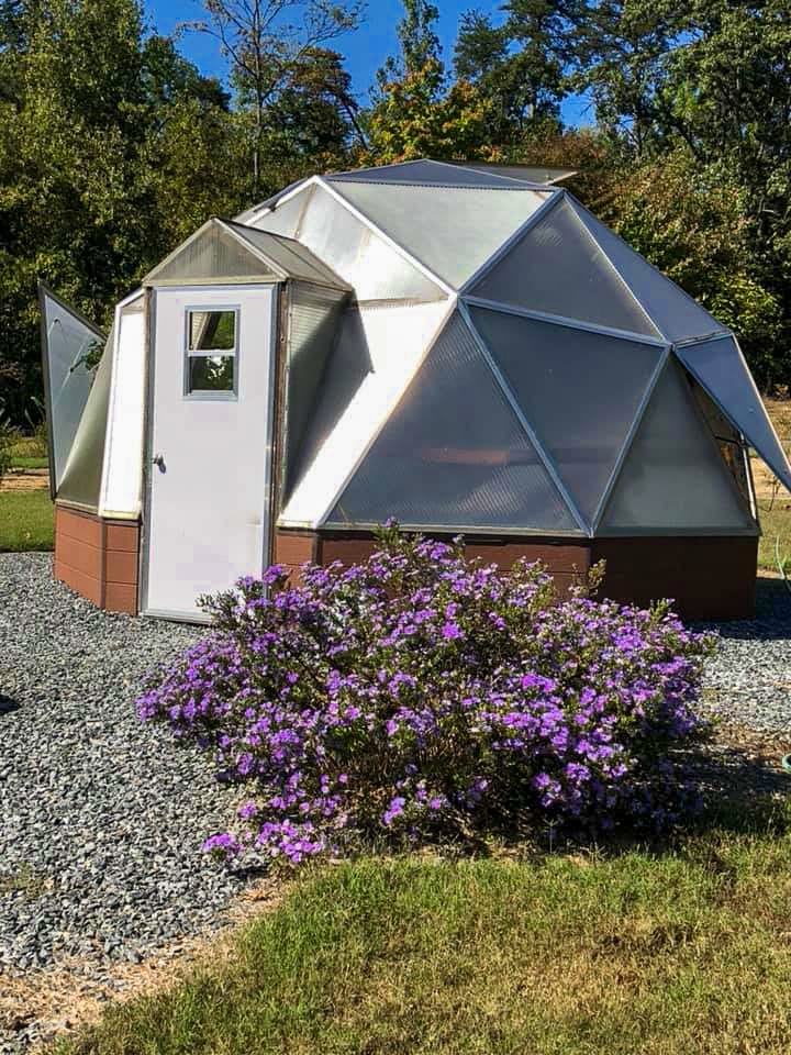 Growing Dome beside purple flowers on a wooded property in Reidsville, North Carolina