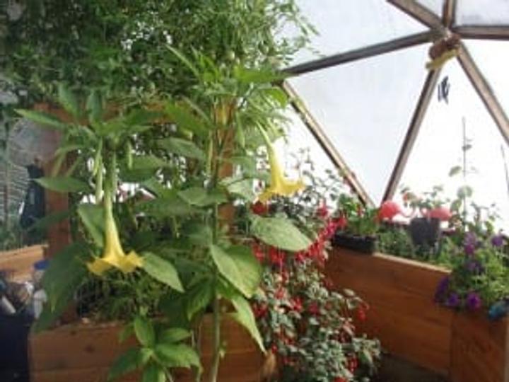 Greenhouse in Oregon winter