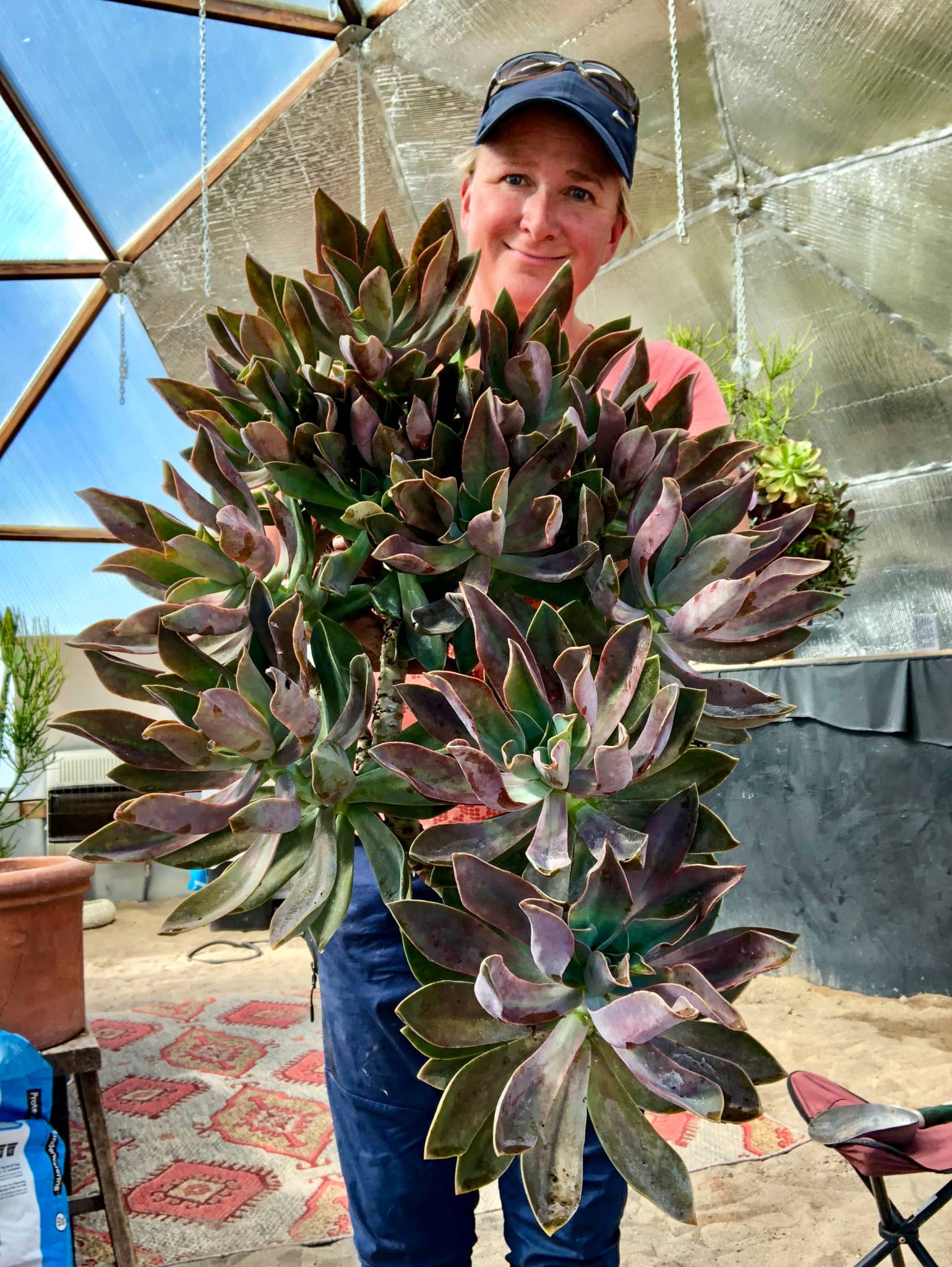 Kerry holding large echeveria succulent