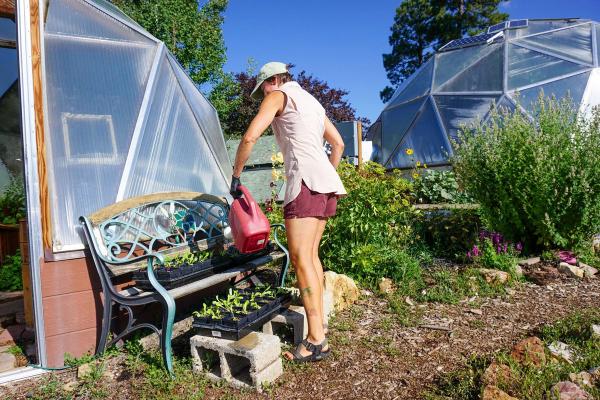 person outside of a couple of growing dome greenhouses using a water can on trays of seedlings