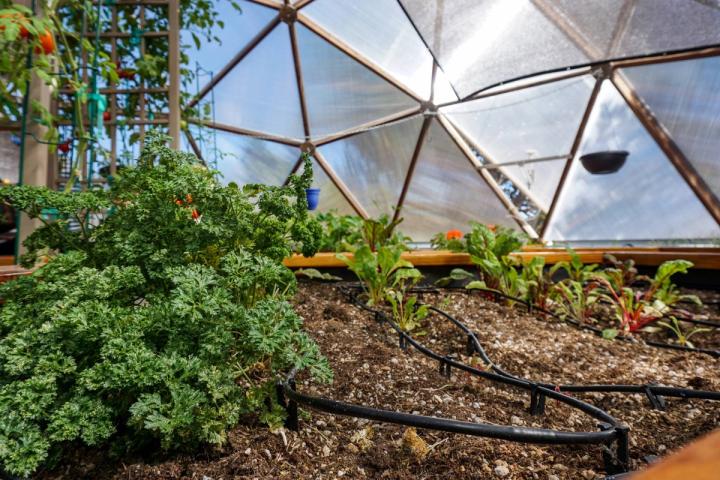 automated irrigation system in a greenhouse