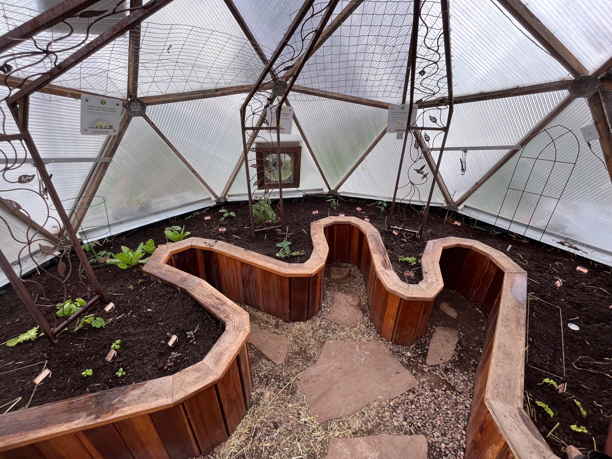 Asymmetric garden bed in an 18' Growing Dome with seedlings planted using the straw bale gardening method