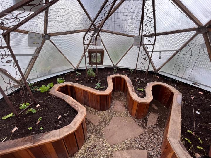 Asymmetric garden bed in an 18' Growing Dome with seedlings planted using the straw bale gardening method
