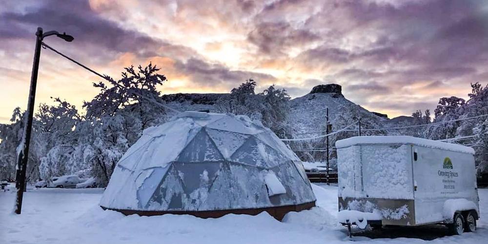 Preparing your Greenhouse for Winter image