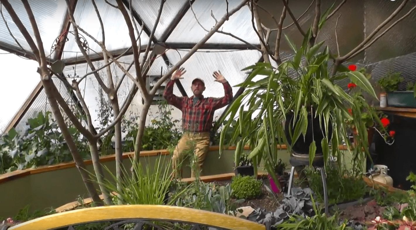 Man sitting in an insulated greenhouse during winter