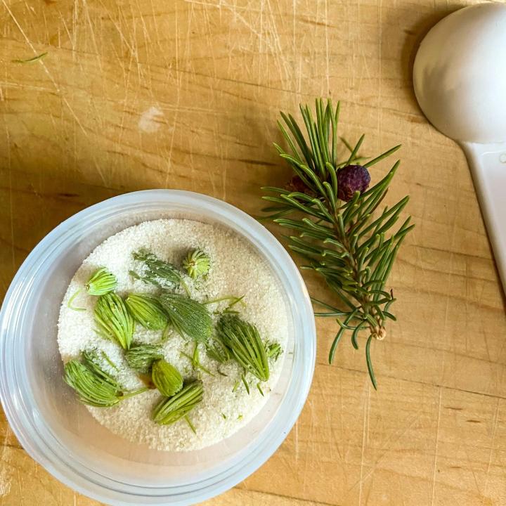 spruce tips in a container of sugar on a wooden cutting board