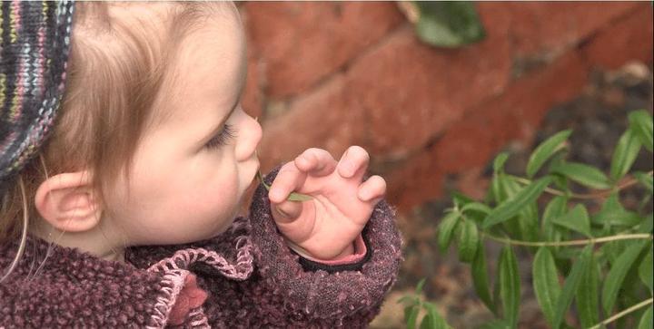 Tasting herbs in a greenhouse