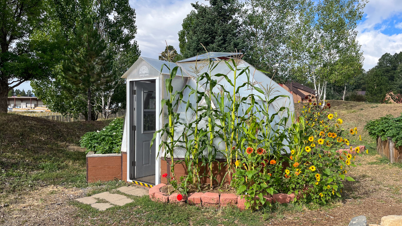 exterior view of 15' growing dome with corn and flowers growing in a bed outside