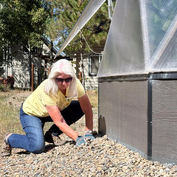 woman covering hardware cloth around the greenhouse wall with rocks