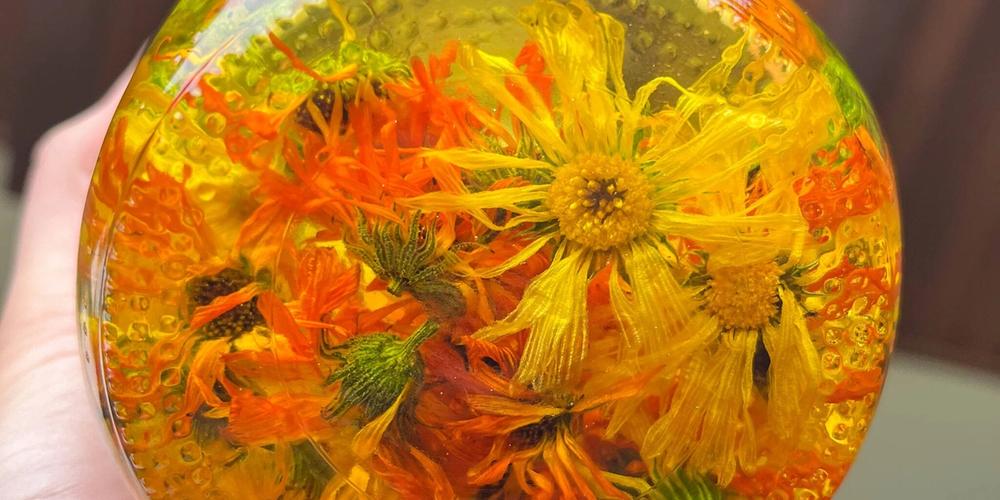 looking at the bottom of a jar with dried calendula flowers in oil