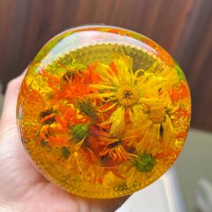 calendula oil