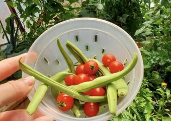 2-20230721_134127_Bean-and-Tomato-Salad-
