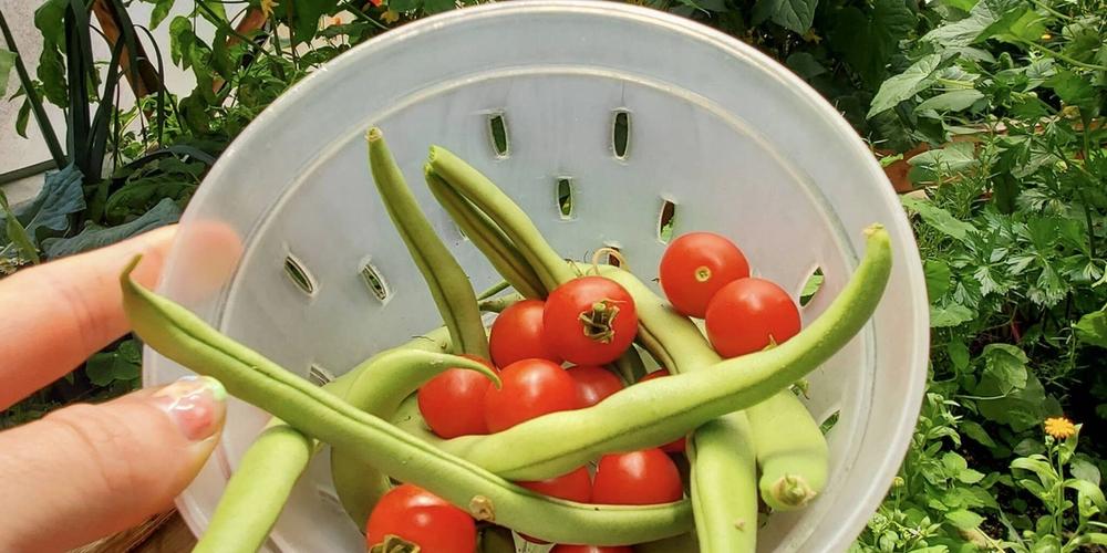 2-20230721_134127_Bean-and-Tomato-Salad-