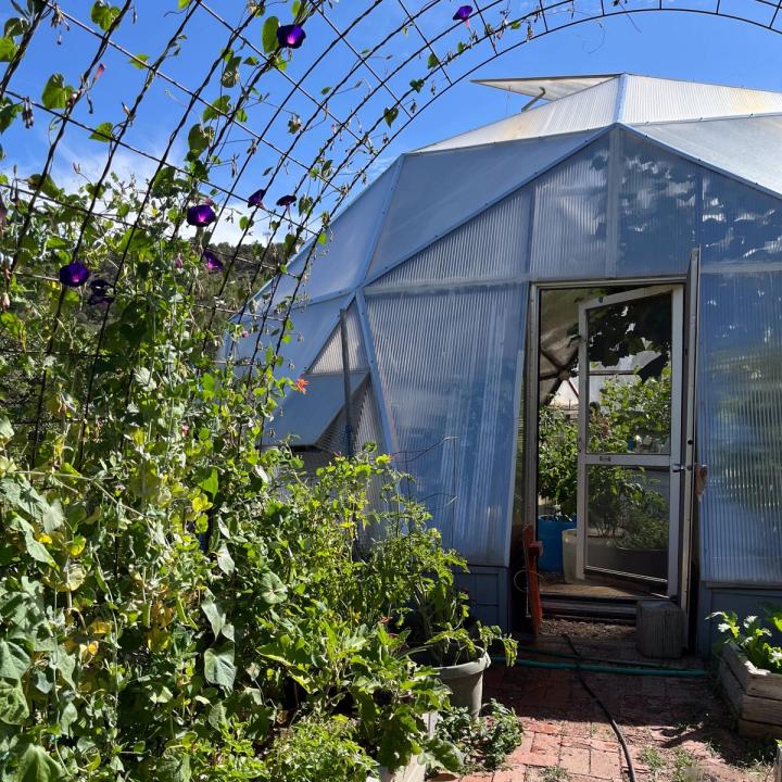 33' Growing Dome with a trellis arch in front fulled with morning glories