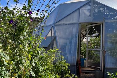 Missouri Greenhouses image