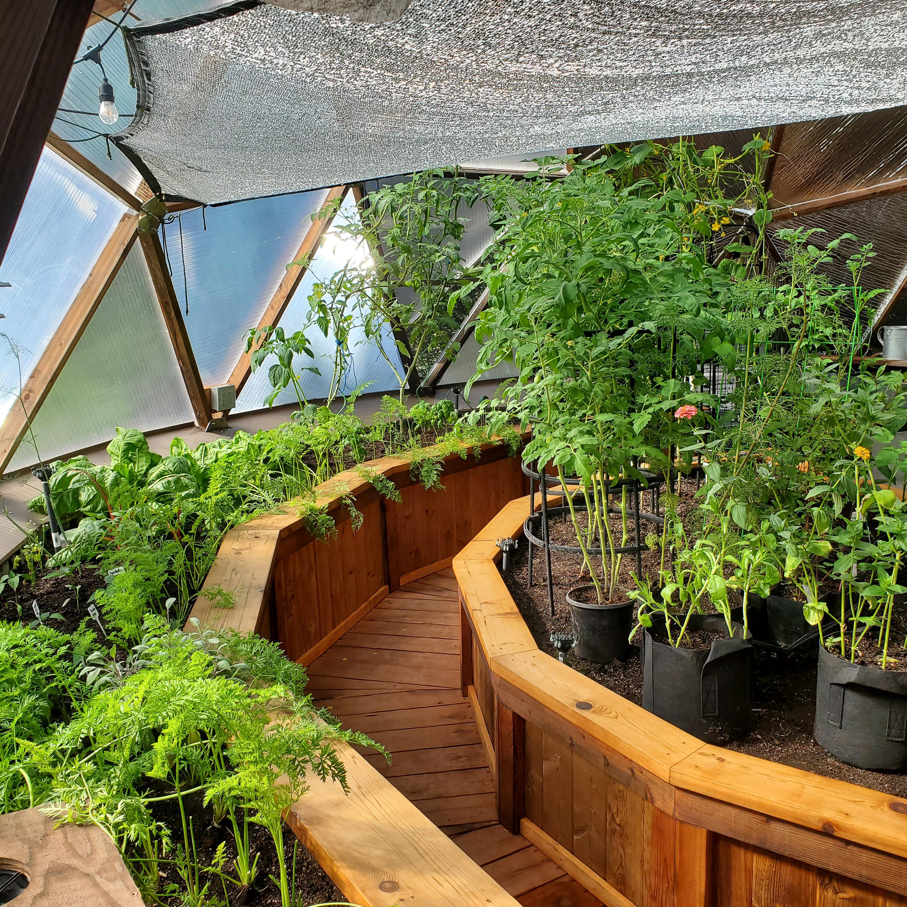 wooden decking pathways inside of a 26 foot growing dome greenhouse