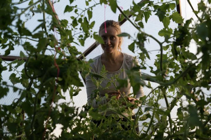 joy in gardening