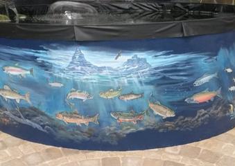 The Greenhouse Pond Gets a Makeover image