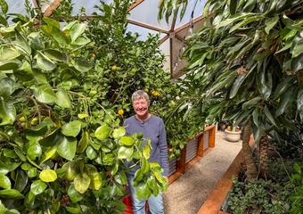 A woman standing in the midst of a geodesic greenhouse with jungle-like citrus and avocado trees.