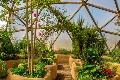 2019 Growing Spaces Articles Archive image