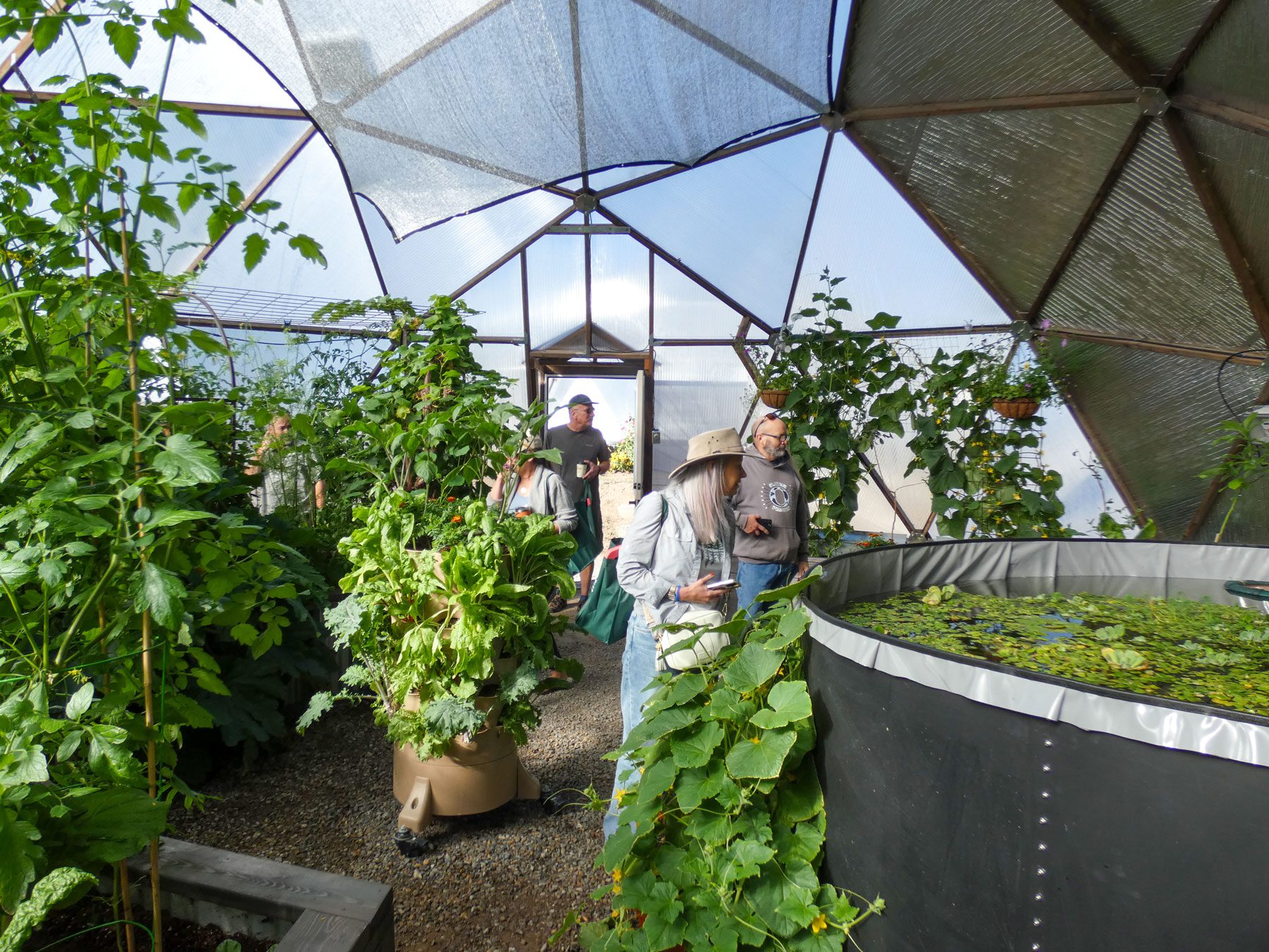 People looking at an above ground pond in a growing dome greenhouse