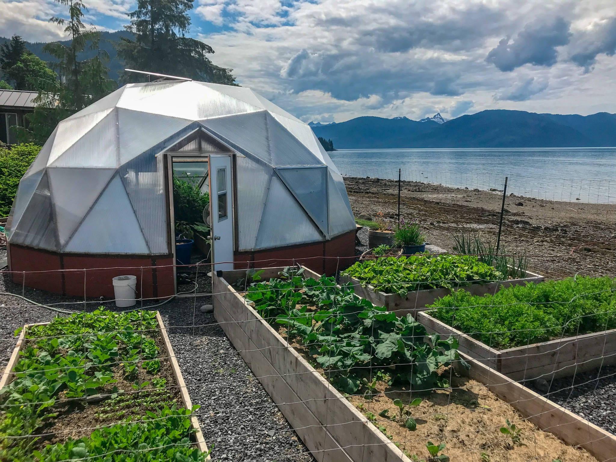 raised beds in rows outside of the geodesic greenhouse water and mountains in the background