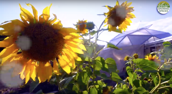 Screen Shot 2018-11-14 at 1.18.21 PM