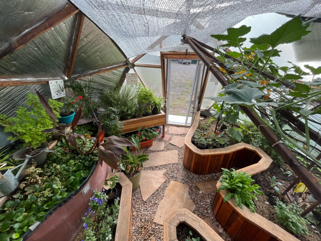 inside the 18' growing dome greenhouse looking back towards the pond and open door there are lots of flowers and vegetables growing