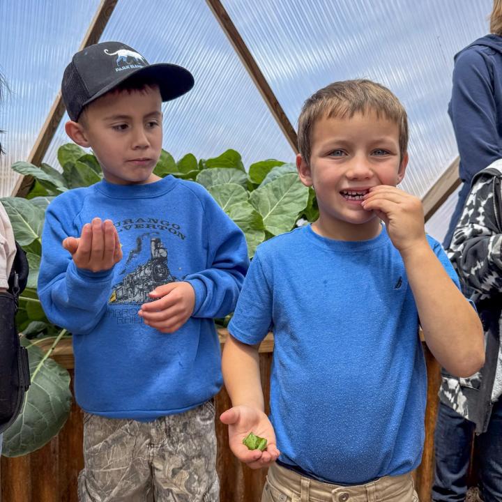 Two you boys in blue shirts sampling garden vegetables. One is smiling big and the other is looking at his friend.