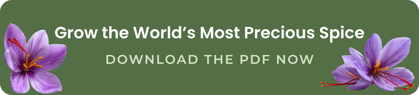 grow the world's most precious spice download the pdf now