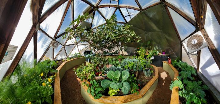 greenhouse with good ventilation and air movement