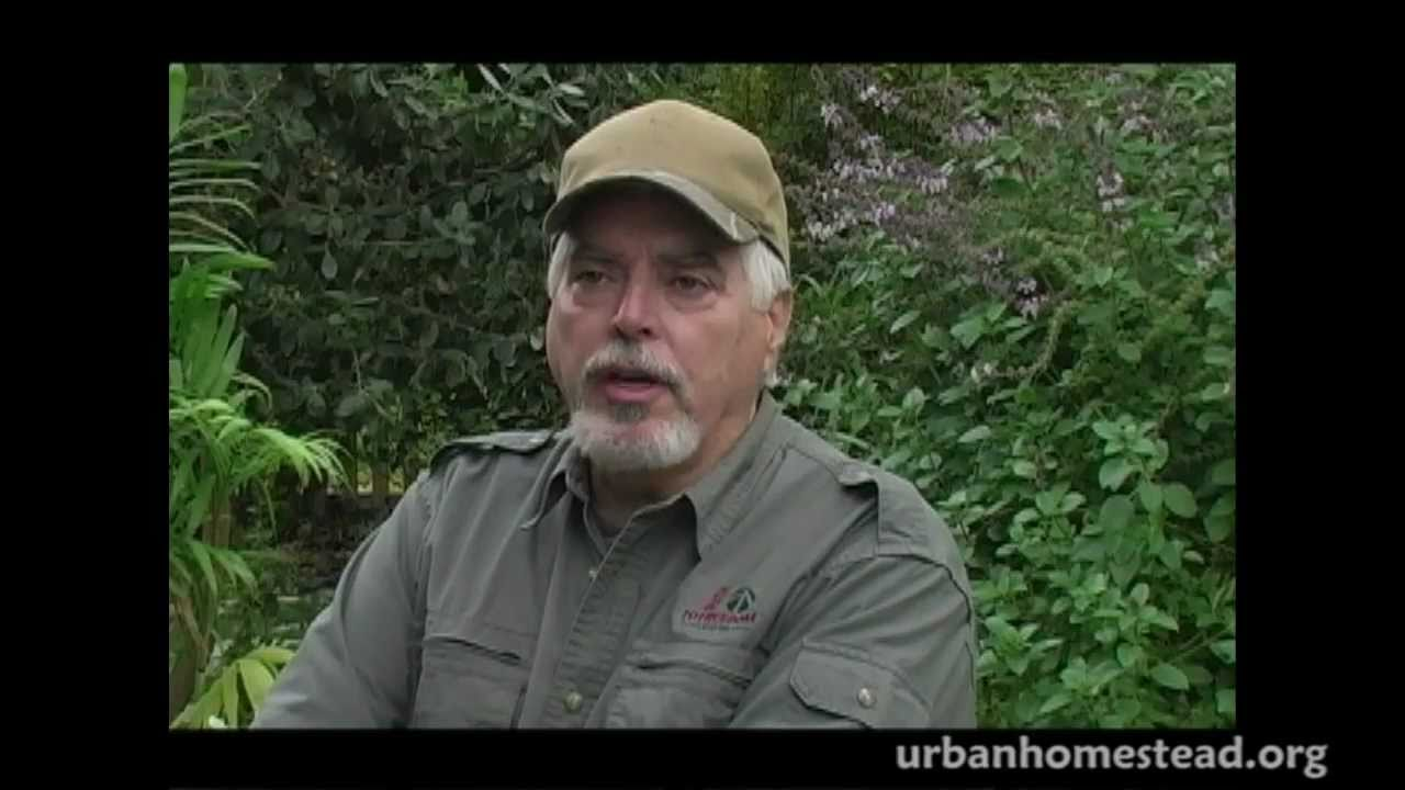 Growing Organic Food in Urban USA image