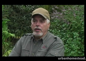 Growing Organic Food in Urban USA image