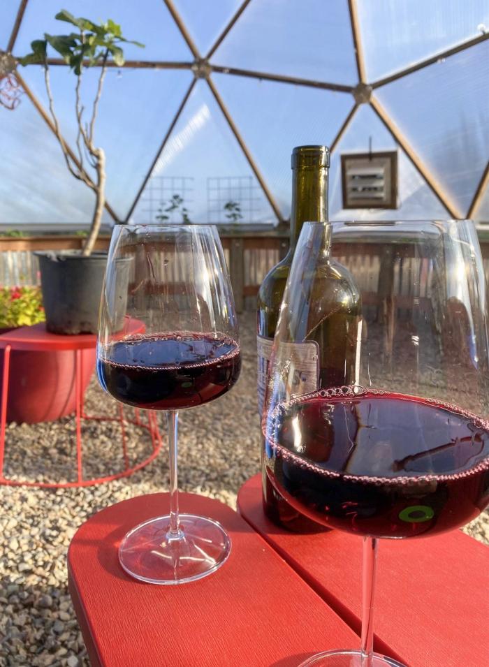 glasses of wine in the greenhouse