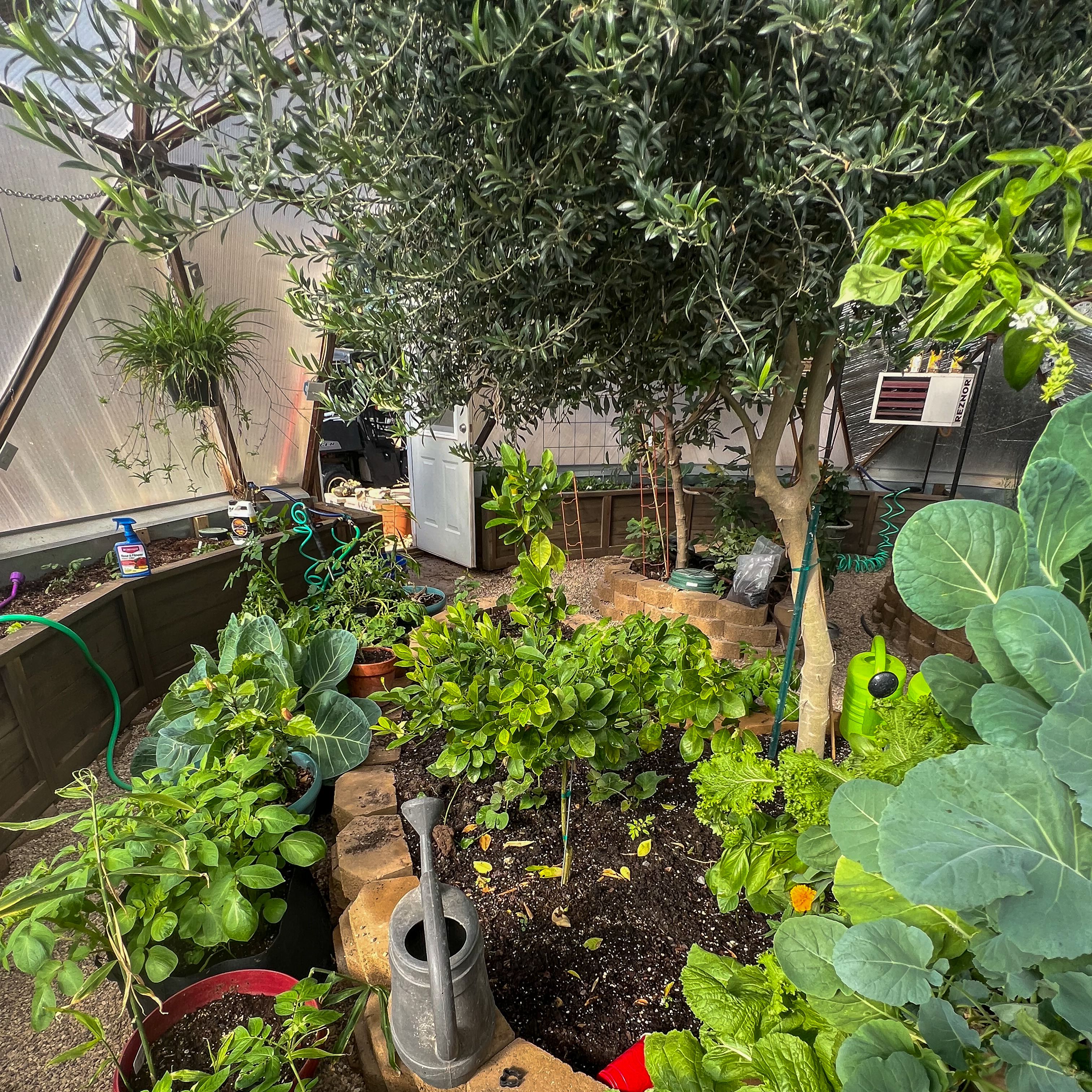 Central garden bed in a 33 foot diameter growing dome with a natural gas heater in the background
