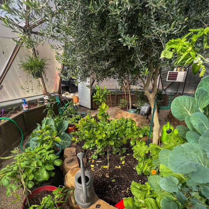 Central garden bed in a 33 foot diameter growing dome with a natural gas heater in the background