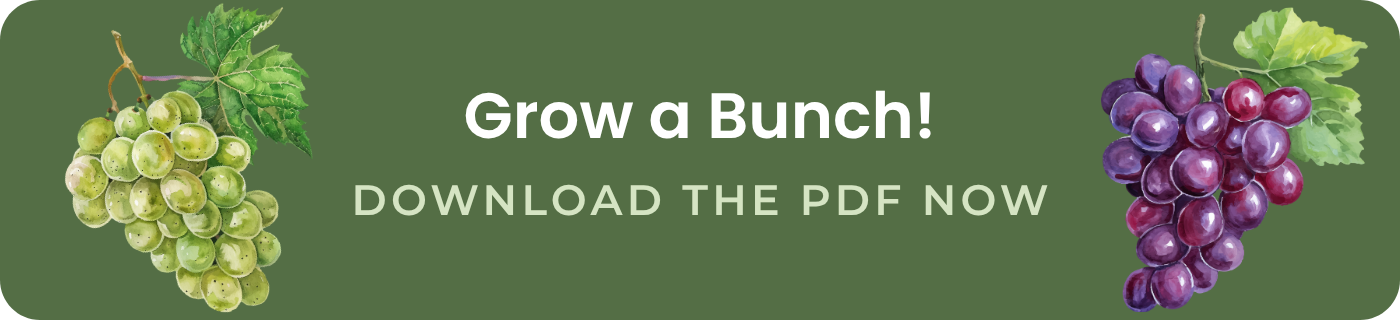 grow a bunch download the pdf now