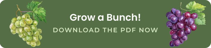 grow a bunch download the pdf now