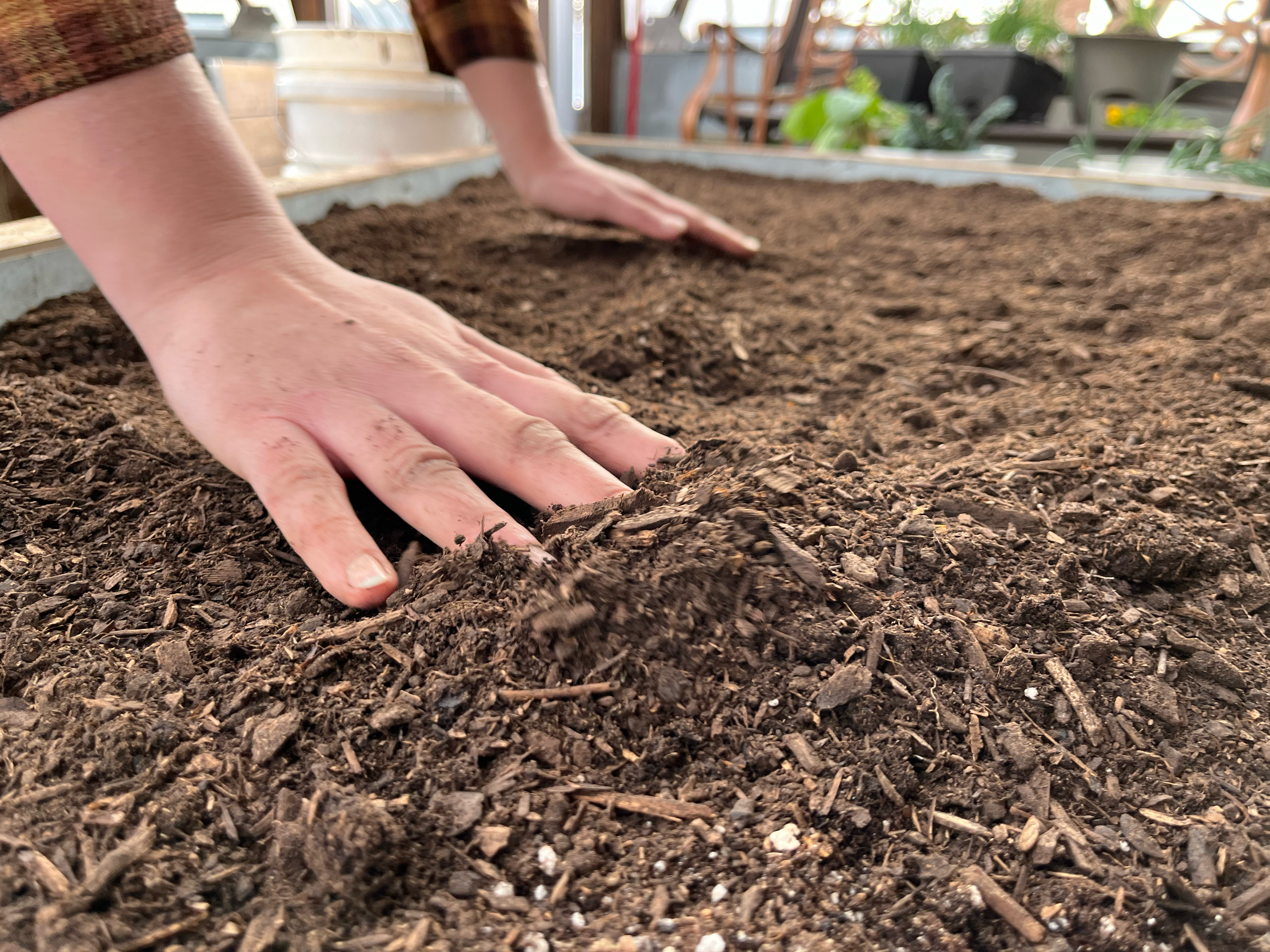 Hands smoothing a fresh layer of compost on existing garden beds in a greenhouse